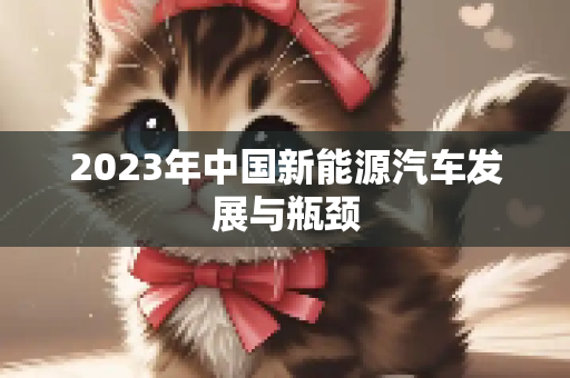 2023年中国新能源汽车发展与瓶颈