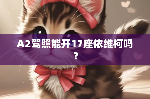 A2驾照能开17座依维柯吗？
