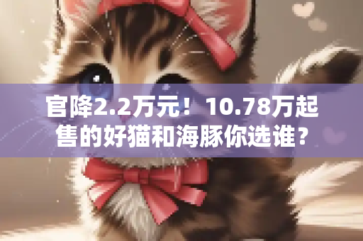 官降2.2万元！10.78万起售的好猫和海豚你选谁？