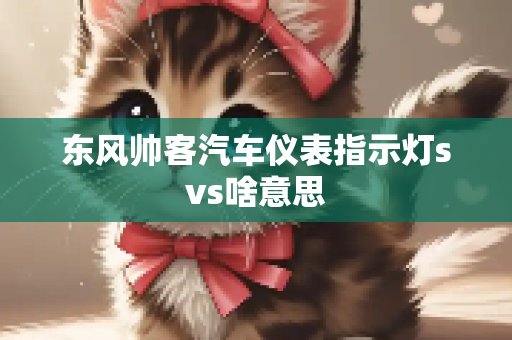东风帅客汽车仪表指示灯svs啥意思