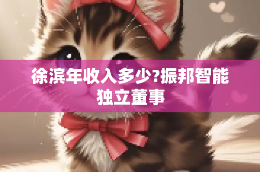 徐滨年收入多少?振邦智能独立董事