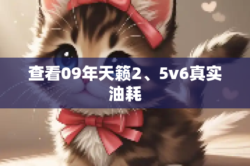 查看09年天籁2、5v6真实油耗