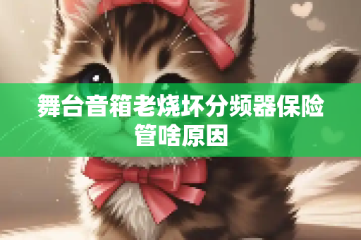 舞台音箱老烧坏分频器保险管啥原因