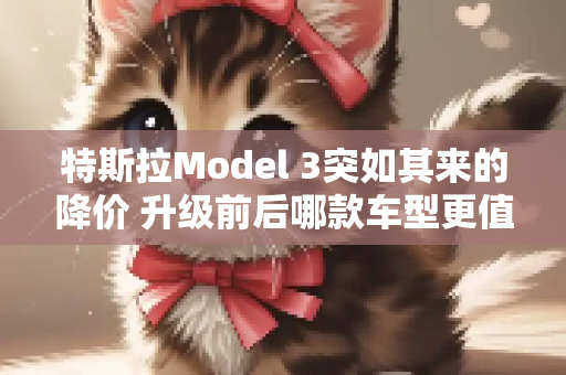 特斯拉Model 3突如其来的降价 升级前后哪款车型更值得购买？