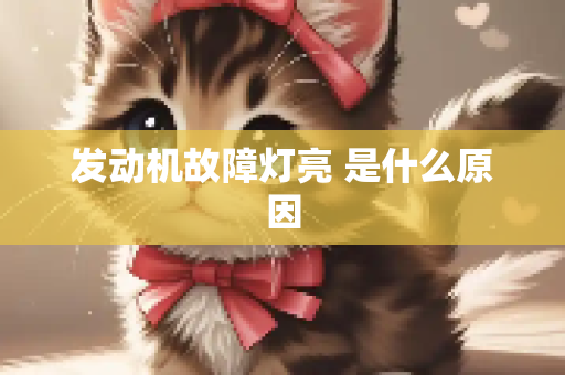 发动机故障灯亮 是什么原因