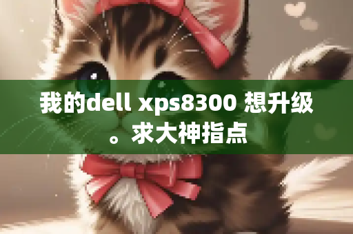 我的dell xps8300 想升级。求大神指点