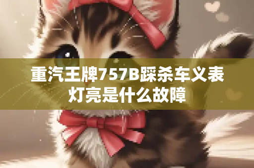 重汽王牌757B踩杀车义表灯亮是什么故障