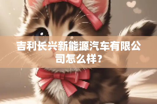 吉利长兴新能源汽车有限公司怎么样？