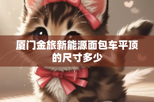 厦门金旅新能源面包车平顶的尺寸多少