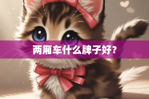 两厢车什么牌子好？