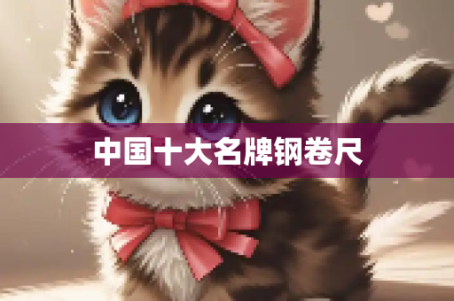 中国十大名牌钢卷尺
