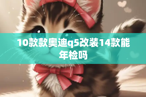 10款款奥迪q5改装14款能年检吗