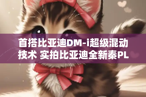 首搭比亚迪DM-i超级混动技术 实拍比亚迪全新秦PLUS