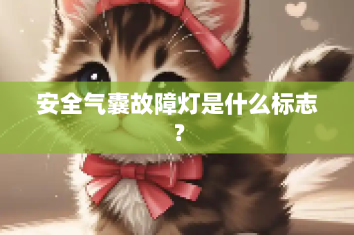 安全气囊故障灯是什么标志？