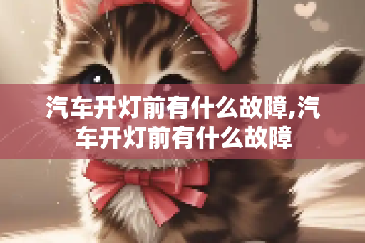 汽车开灯前有什么故障,汽车开灯前有什么故障