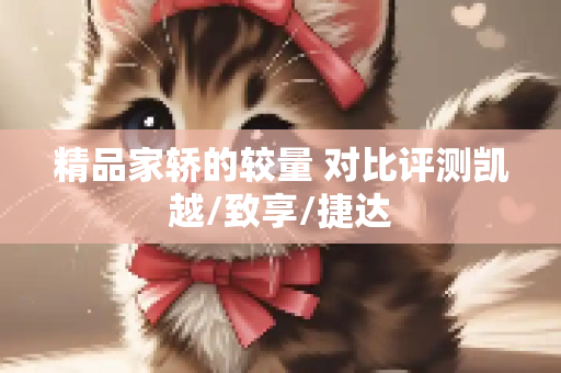 精品家轿的较量 对比评测凯越/致享/捷达