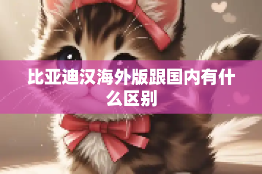 比亚迪汉海外版跟国内有什么区别