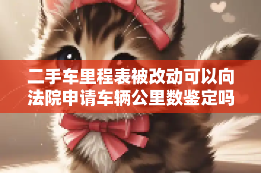 二手车里程表被改动可以向法院申请车辆公里数鉴定吗？