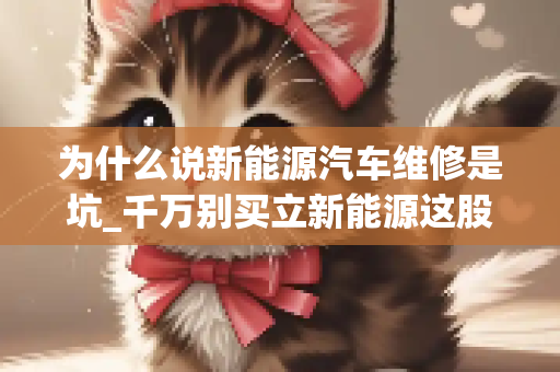 为什么说新能源汽车维修是坑_千万别买立新能源这股坑死广大股民了还跌呢