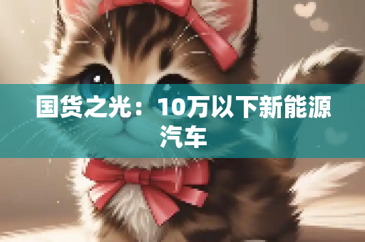 国货之光：10万以下新能源汽车