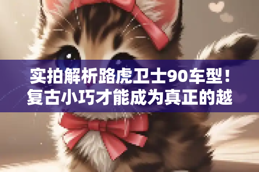 实拍解析路虎卫士90车型！复古小巧才能成为真正的越野利器
