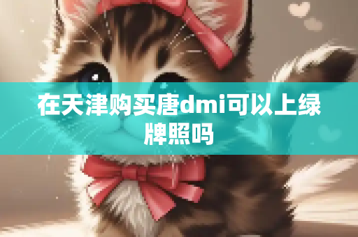 在天津购买唐dmi可以上绿牌照吗