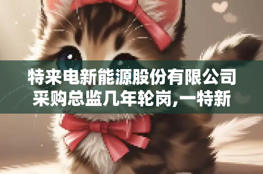 特来电新能源股份有限公司采购总监几年轮岗,一特新能源