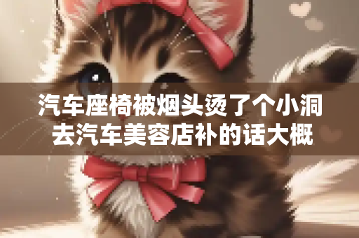 汽车座椅被烟头烫了个小洞 去汽车美容店补的话大概多少钱