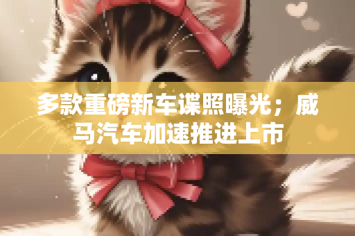 多款重磅新车谍照曝光；威马汽车加速推进上市