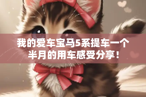 我的爱车宝马5系提车一个半月的用车感受分享！