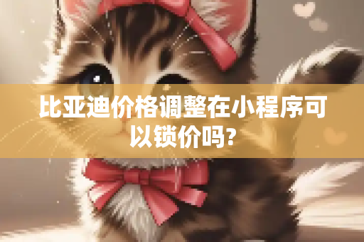 比亚迪价格调整在小程序可以锁价吗?