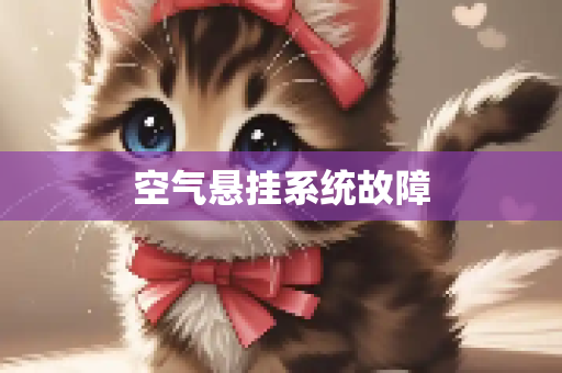 空气悬挂系统故障
