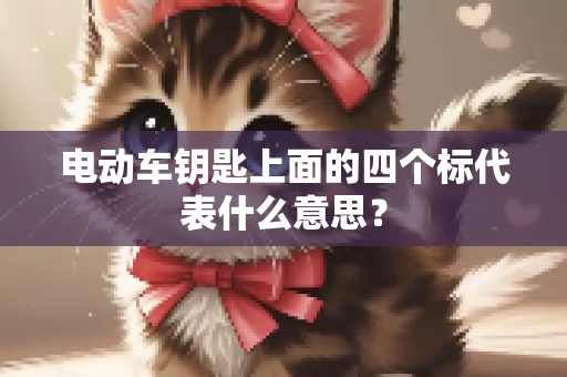 电动车钥匙上面的四个标代表什么意思?