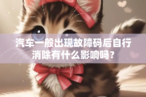汽车一般出现故障码后自行消除有什么影响吗？