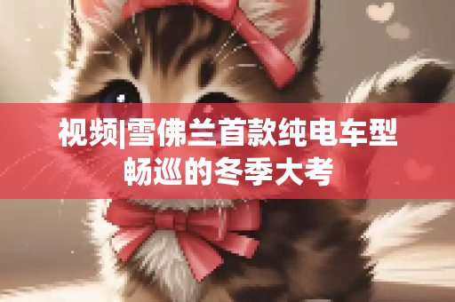 视频|雪佛兰首款纯电车型畅巡的冬季大考