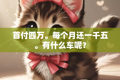 首付四万。每个月还一千五。有什么车呢？