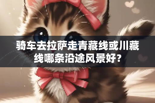 骑车去拉萨走青藏线或川藏线哪条沿途风景好？