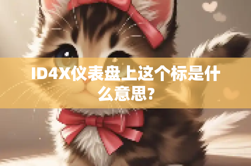 ID4X仪表盘上这个标是什么意思?