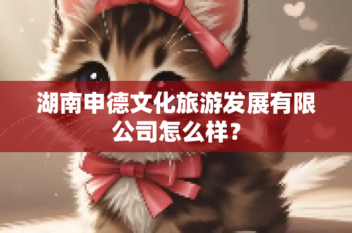 湖南申德文化旅游发展有限公司怎么样？