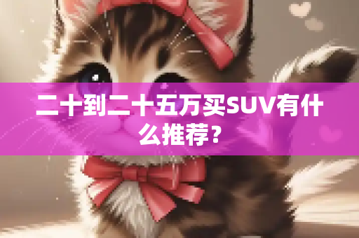 二十到二十五万买SUV有什么推荐？