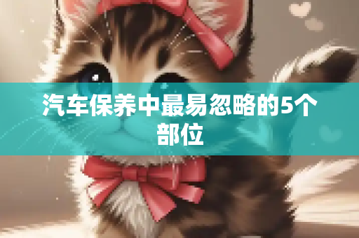 汽车保养中最易忽略的5个部位