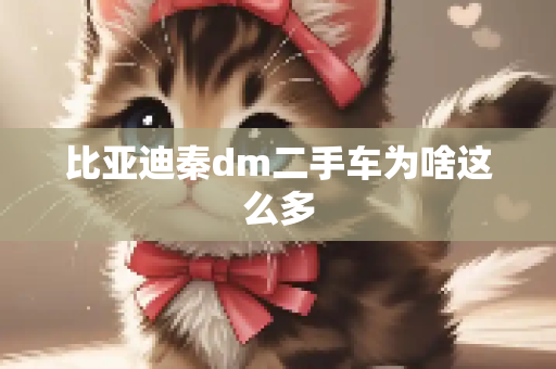 比亚迪秦dm二手车为啥这么多