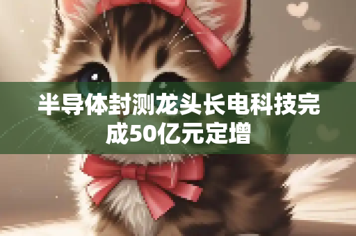 半导体封测龙头长电科技完成50亿元定增