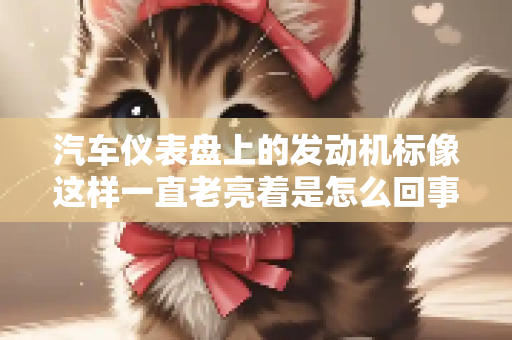 汽车仪表盘上的发动机标像这样一直老亮着是怎么回事？