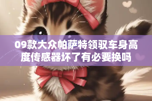 09款大众帕萨特领驭车身高度传感器坏了有必要换吗