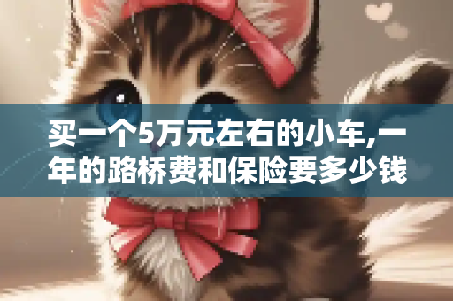 买一个5万元左右的小车,一年的路桥费和保险要多少钱