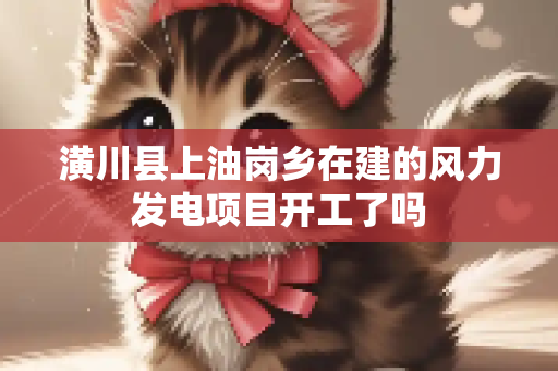 潢川县上油岗乡在建的风力发电项目开工了吗
