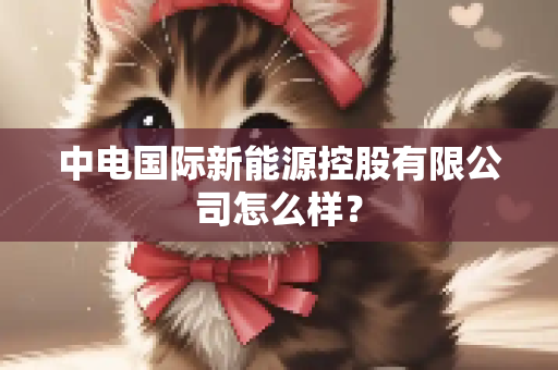 中电国际新能源控股有限公司怎么样？