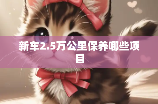 新车2.5万公里保养哪些项目