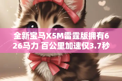 全新宝马X5M雷霆版拥有626马力 百公里加速仅3.7秒